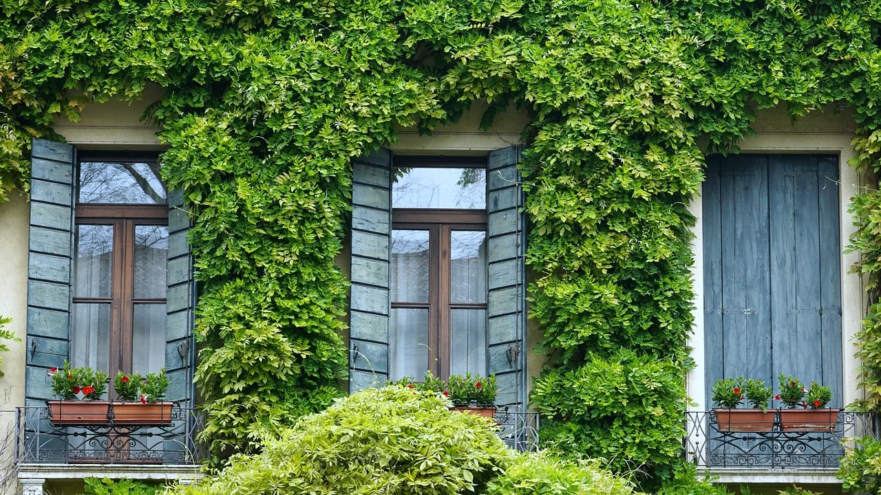 Ivy-covered front of 6 Kellen Street with shuttered windows facing east